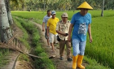 Bantu Petani Hadapi Musim Kemarau Dinas Pertanian Minsel Bentuk Tim Brigade Pertanian. Bantu Petani Hadapi Musim Kemarau Dinas Pertanian Minsel Bentuk Tim Brigade Pertanian.