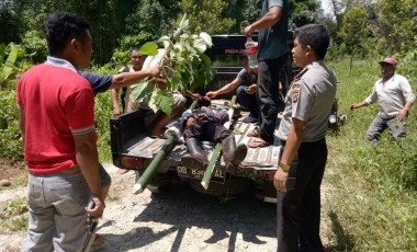 Dipicu Masalah Batas Kebun, Perkelahian Berdarah Terjadi DiDesa Karowa Tompaso Baru Dipicu Masalah Batas Kebun, Perkelahian Berdarah Terjadi DiDesa Karowa Tompaso Baru